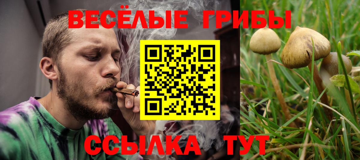 Горячий Ключ  Псилоцибиновые грибы мухоморы  Вход с VPN  Галлюциногенные грибы прущие грибы 